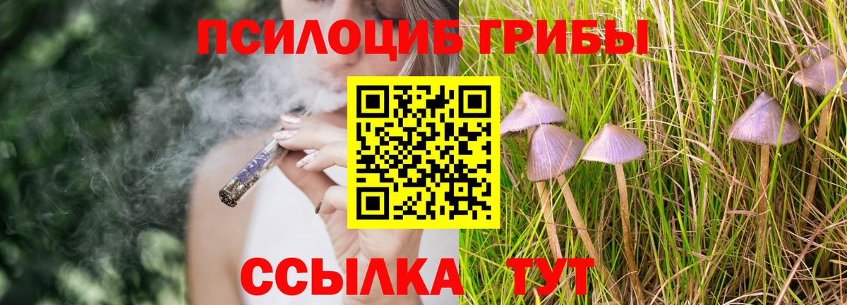 Псилоцибиновые грибы Psilocybine cubensis  Вход с VPN  что такое   Биробиджан 